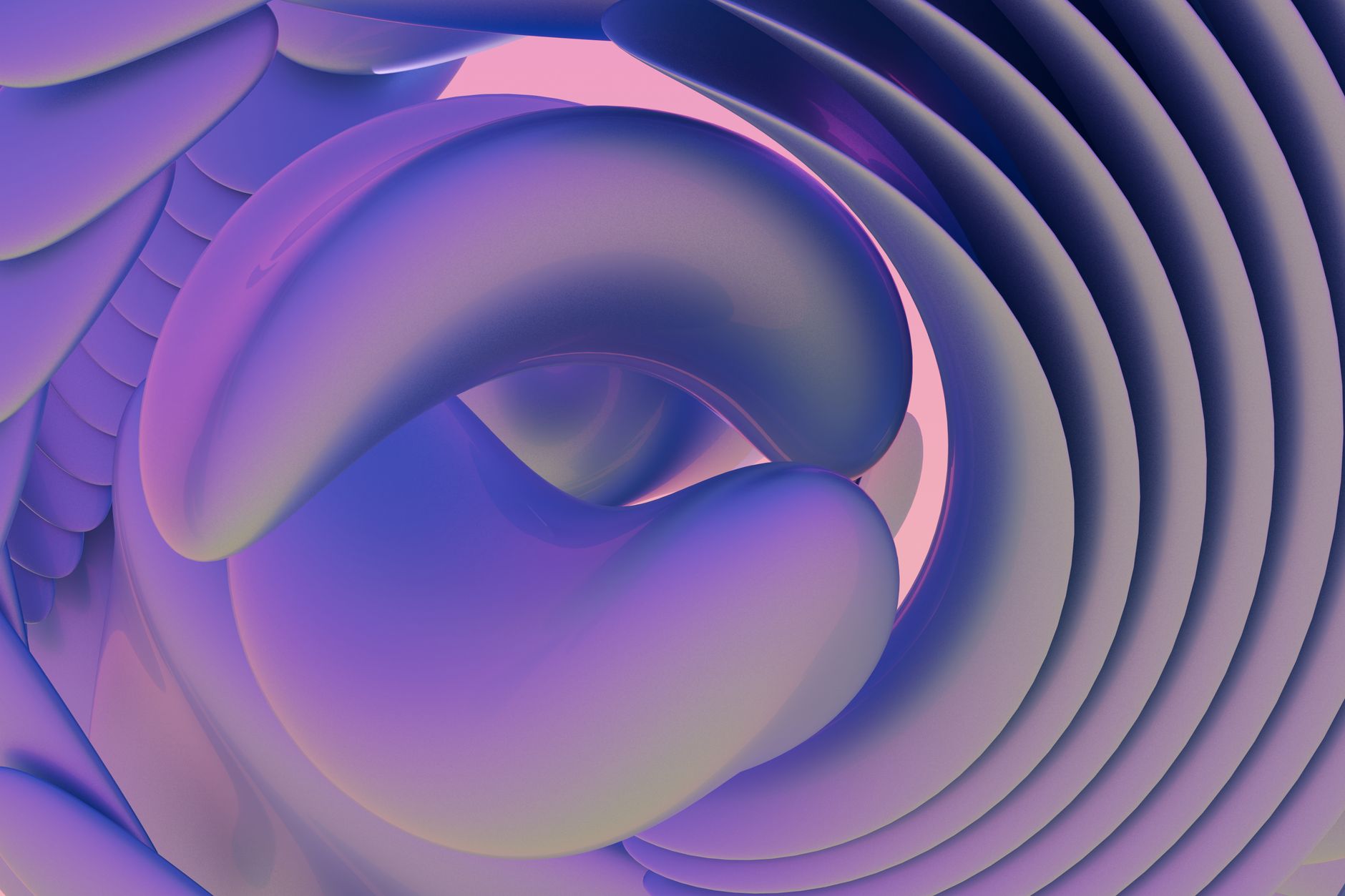 Purple and pink curves in a 3D abstract render, the Vesper drop